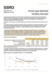 Activity type factsheet 2019/20: Ancillary services